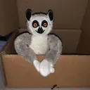 Figurinha