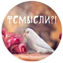 Стикер