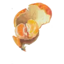 ස්ටිකර්