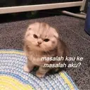 Çıkartma