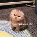 Çıkartma