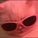 स्टिकर