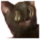 Stika
