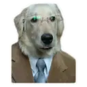 Stika