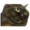 Stika