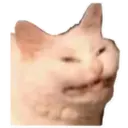 Stika