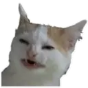 Stika