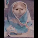 स्टिकर
