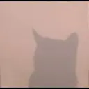 स्टिकर