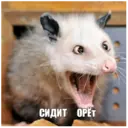 Límmiði