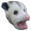 Límmiði