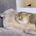 Çıkartma