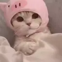 Çıkartma