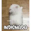 Çıkartma