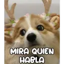 Stika