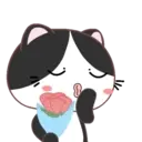 ස්ටිකර්