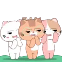 ස්ටිකර්