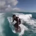 贴纸
