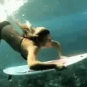 贴纸