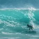 贴纸