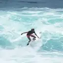 贴纸