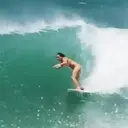 贴纸
