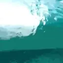 贴纸