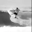 贴纸