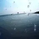 贴纸