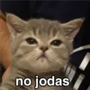 Nhãn dán