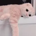 Autocollant