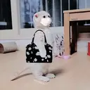 Autocollant
