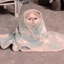 Autocollant