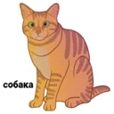 স্টিকার