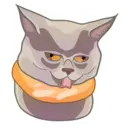 স্টিকার