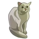 স্টিকার