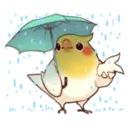 স্টিকার