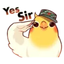 স্টিকার