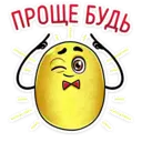 Stiker