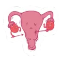 Կպչուն պիտակ