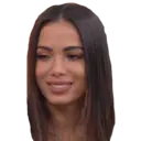 ਸਟਿਕਰ