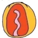 Стикер