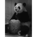 ステッカー