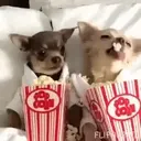 ملصق
