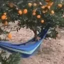 ملصق