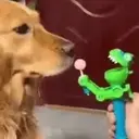 ملصق