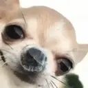 ملصق