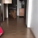 ملصق