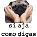 Figurinha