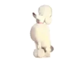 ਸਟਿਕਰ